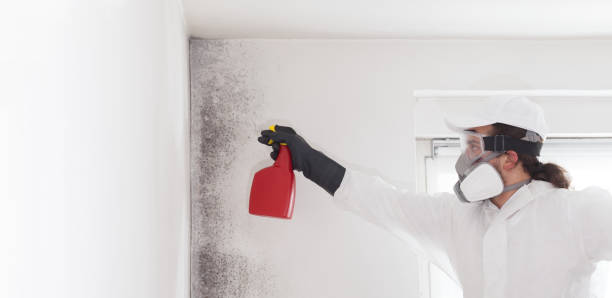 Best Mold Removal Process  in Woods Creek, WA